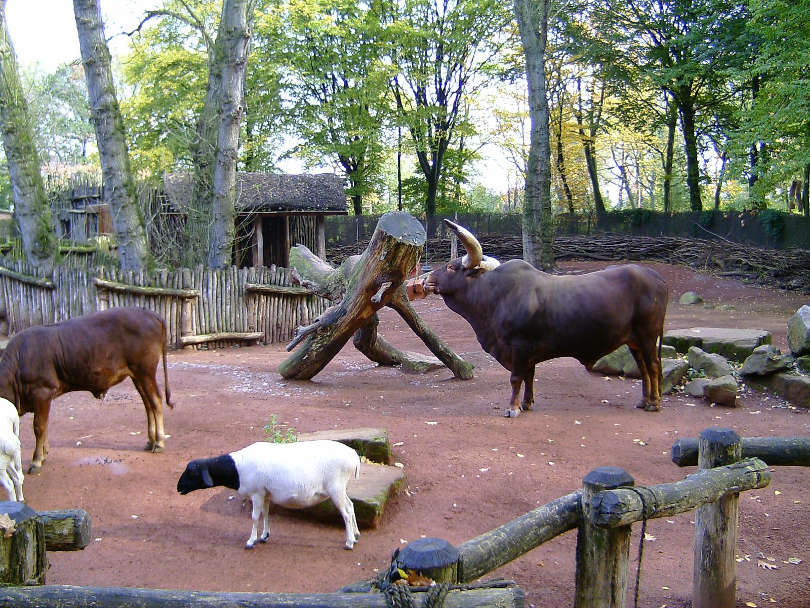 Zoom 18.10.08-088.jpg